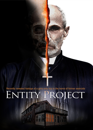     Entity Project